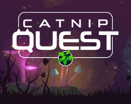 Catnip Quest Image