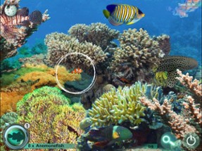 Hidden Objects Games: Animals Image