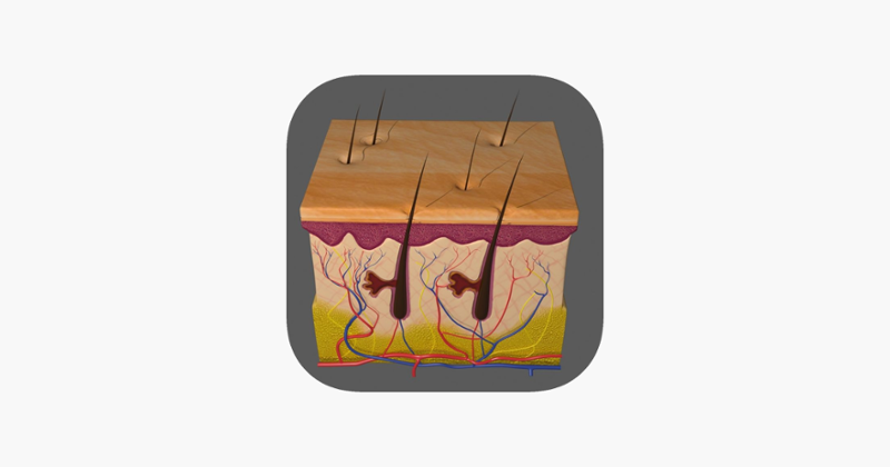 Integumentary System Quizzes Game Cover