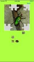 Rhinoceros Beetle Jigsaw Puzzle Image