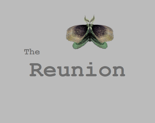 The Reunion Game Cover