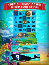 Bingo Amaze - 2023 Bingo Games Image