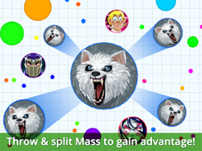 Agar.io Image