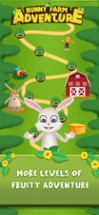 Puzzle Games : Bunny Adventure Image