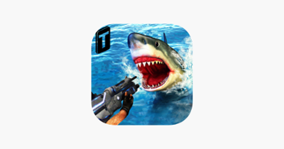 Shark Sniping 2017 Image