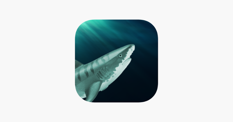 3D Killer Shark Attack Simulator Game Cover