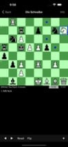 Mate in 3 Chess Puzzles Image