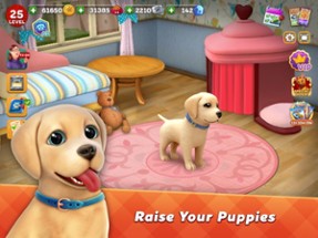 Dog Town: Pet &amp; Animal Games Image