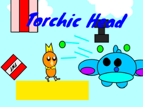 Torchic Head Image