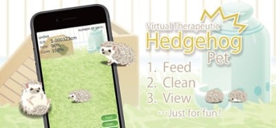 Hedgehog Pet Image