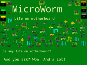 Microworm Image