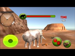 Jungle Wild Elephant Life - Animals Game Image