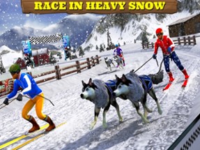 Sled Dog Racing 2017 Image