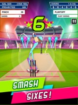 Stick Cricket Super League Image