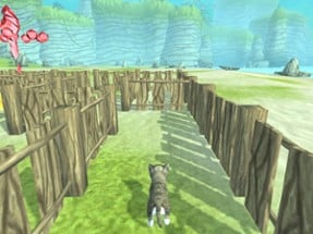 3D Pets in the Maze Image