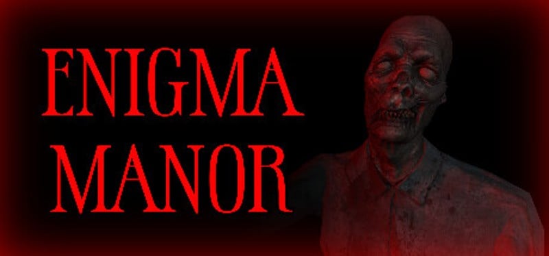 Enigma Manor Game Cover