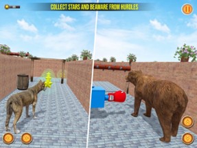Pet Puppy Animals Shelter Sim Image