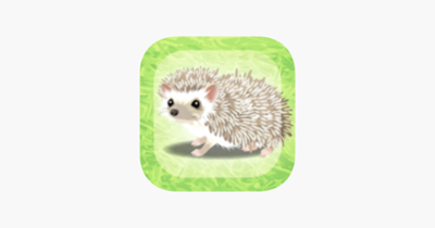 Hedgehog Pet Image