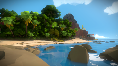 The Witness Image