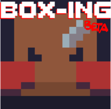 BOX-ING - The Beta Image