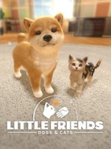 Little Friends: Dogs & Cats Image