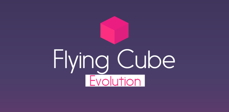 Flying Cube Evolution Game Cover