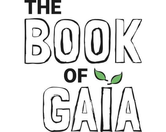 (2020) The Book of Gaïa > ESIEE-IT Gaming Game Cover