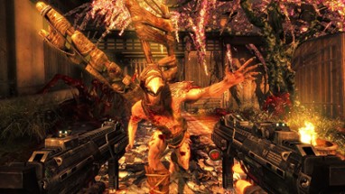 Shadow Warrior Collection Image