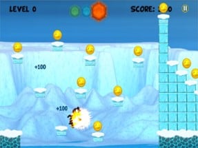 Crazy Baby Cute Penguin Run For Free Image