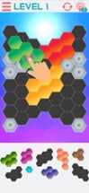 Hexagon Graph Puzzles Image