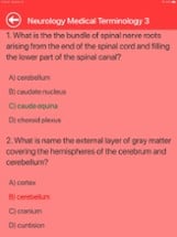 Neurology Medical Terms Quiz Image