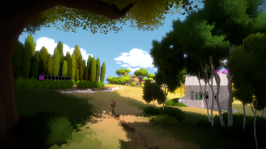 The Witness Image