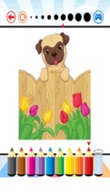 Cat &amp; Dogs Coloring Book - for Kids Image