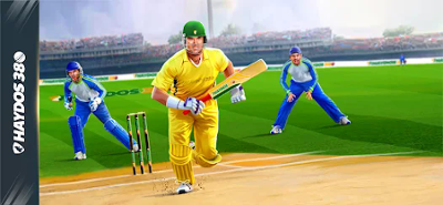 Haydos 380: Cricket Game Image