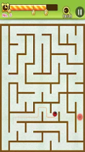 Maze King Image