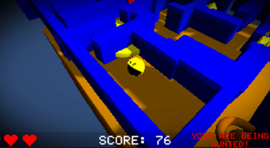 PACMAN 4D Image