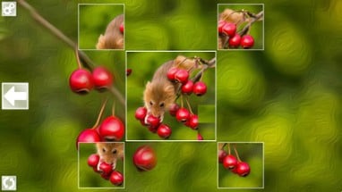 Puzzle Art: Rodents Image