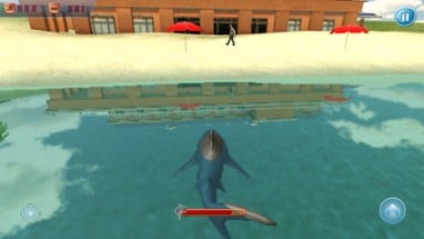 Shark Assault Simulator Image