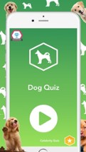 Dog Quiz - Which dog is that? Image