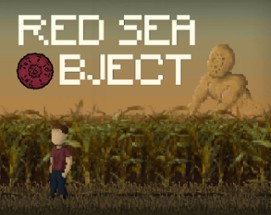 Red Sea Object Image