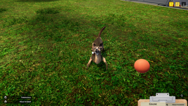 Animal Shelter Simulator Image