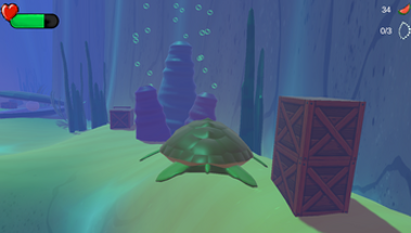 Turtle Adventure Image