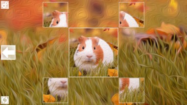 Puzzle Art: Rodents Image