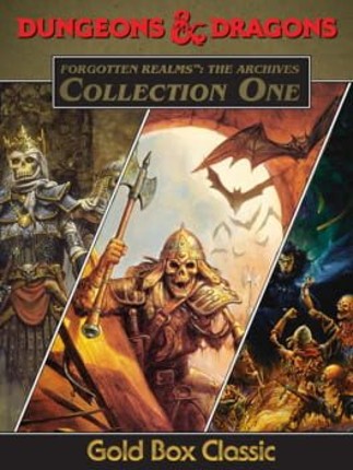 Forgotten Realms: The Archives - Collection One Game Cover