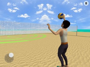 Volleyball Championship Court Image