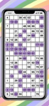 Bingo Cards, Tickets &amp; Caller Image