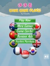 Link Link Flags Image