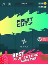 Fruit Cut - Knife Hit Master Image