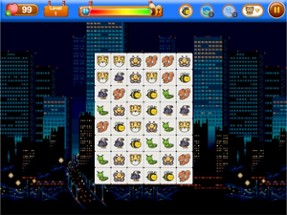 Onet Animal WOW Image