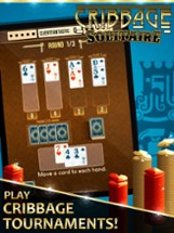 Cribbage Solitaire Image